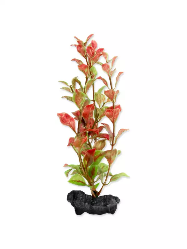 Dekorace Tetra Rostlina Red Ludwigia S 15cm