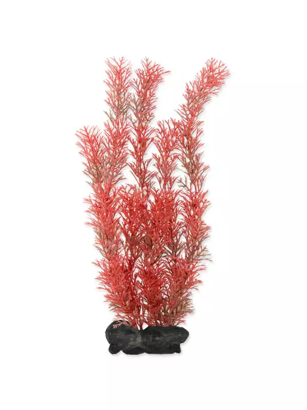 Dekorace Tetra Rostlina Foxtail Red L 30cm
