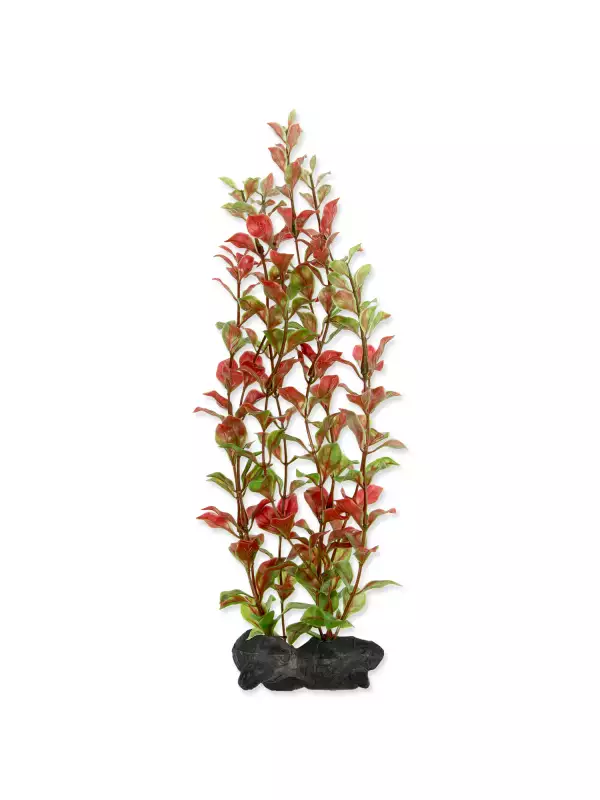 Dekorace Tetra Rostlina Red Ludwigia L 30cm