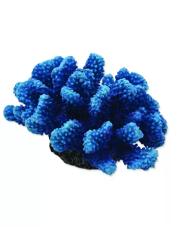Dekorace Aqua Excellent Mořský Korál modrý 14,5x10,5x7,4cm