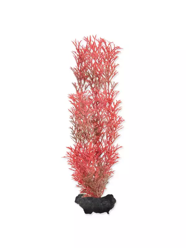 Dekorace Tetra Rostlina Foxtail Red M 23cm