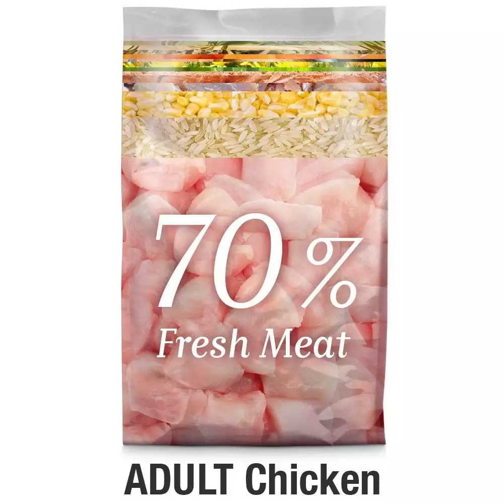 1platinum-adult-chicken-kureci