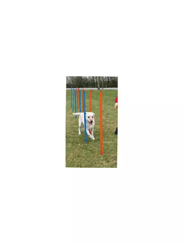 AGILITY Slalom, tyče 12ks - Trixie