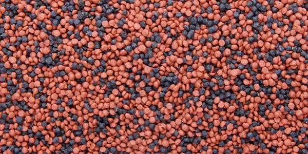 17089-dajana-neon-tetra-mini-granules-250-ml-3