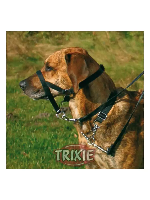 TOP TRAINER výcviková ohlávka L-XL 37cm TRIXIE