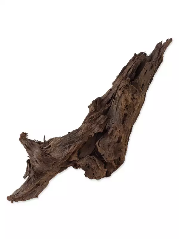 Dekorace Repti Planet Kořen DriftWood Bulk L 35-55cm