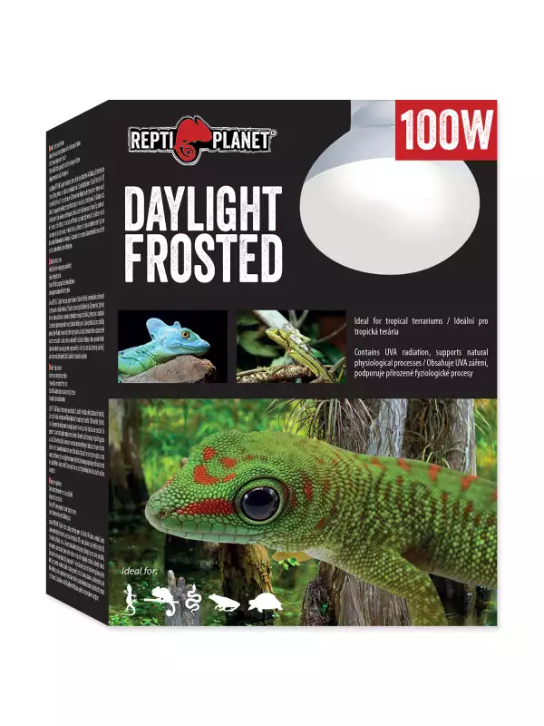 Žárovka Repti Planet Daylight Frosted 100W