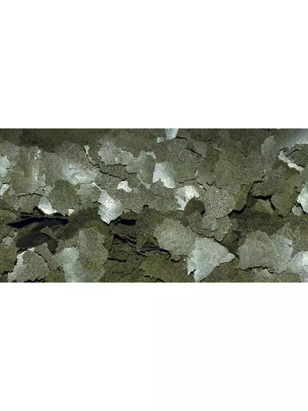 17165-dajana-spirulina-and-chlorella-flakes-100-ml-3