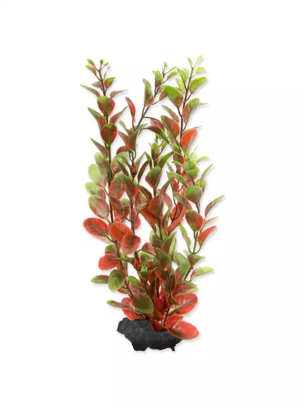 Dekorace Tetra Rostlina Red Ludwigia M 23cm