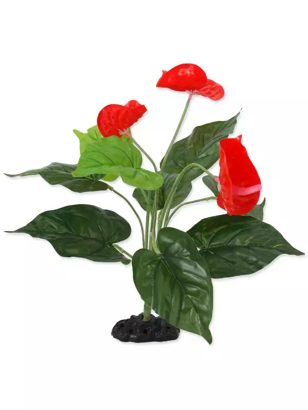 Dekorace Repti Planet Rostlina kvetoucí Anthurium 40cm