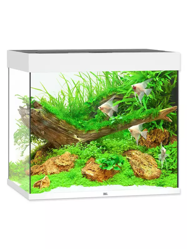 Akvarijní set Juwel Lido LED 200 bílá 70x51x65cm 200l