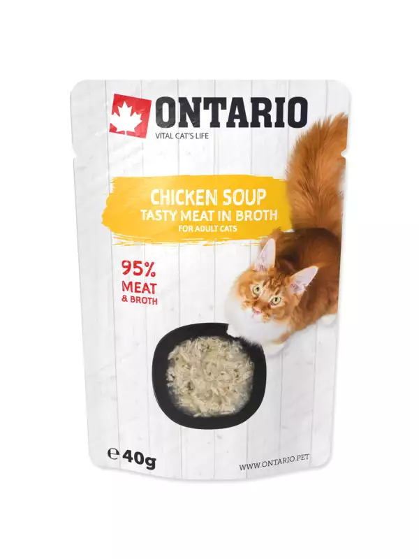Polévka Ontario kuře 40g
