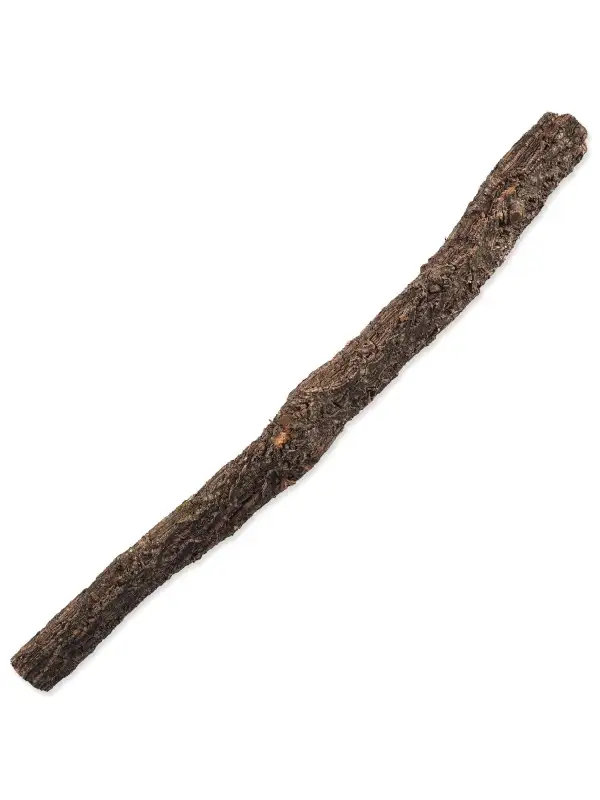 Dekorace Repti Planet Korková větev L 60-90 cm
