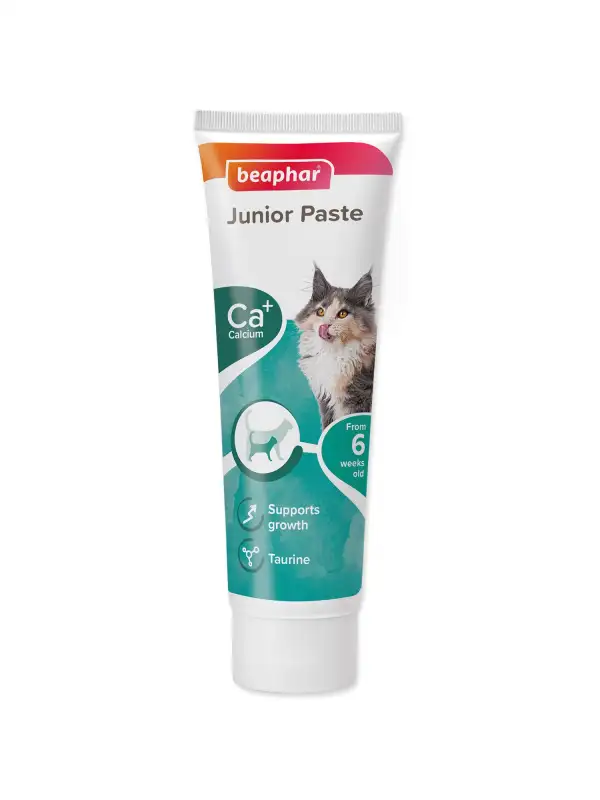 Pasta Beaphar Junior pro koťata 100g