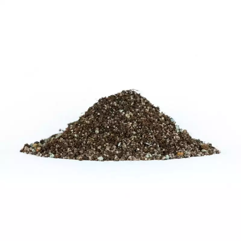 rivsdfer-sand-1