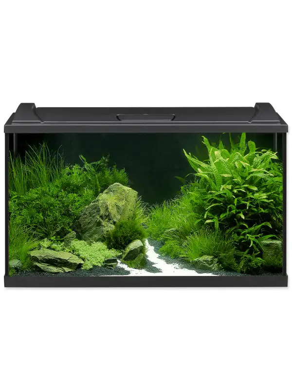 Akvarijní set Eheim Aquapro LED černý 80x35x45cm 126l