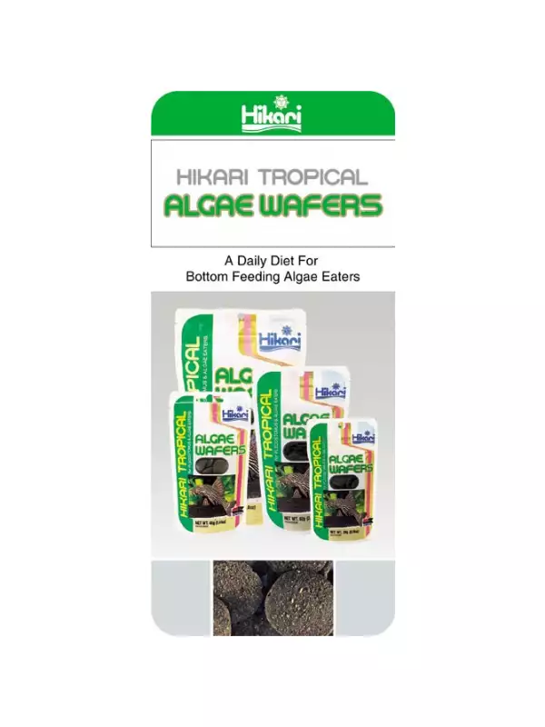 HIKARI ALGAE WAFERS 40G