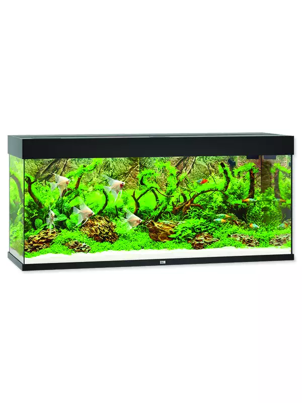 Akvarijní set Juwel Rio LED 240 černé 121x41x55cm 240l