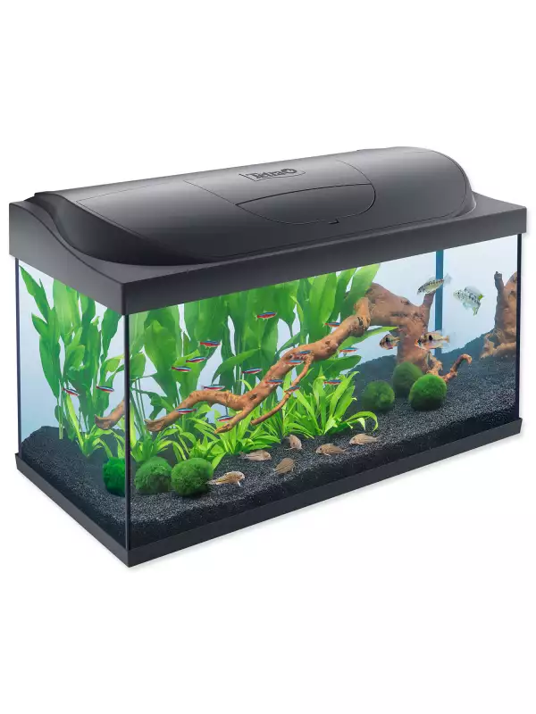 Akvarijní set Tetra Starter line LED 76x47x38cm 105l