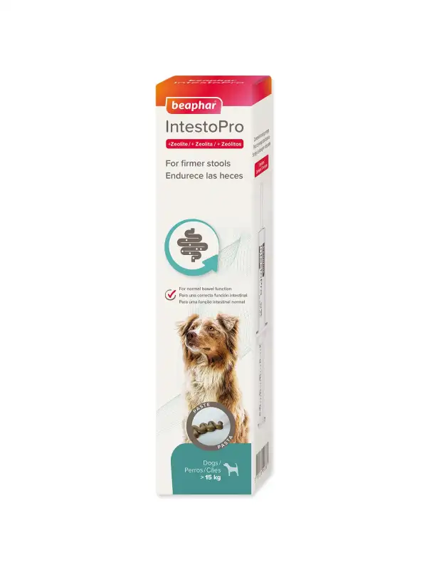 Pasta Beaphar IntestoPro L pro velké psy 2x 20ml