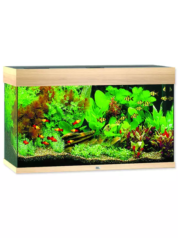 Akvarijní set Juwel Rio LED 125 dub 81x36x50cm 125l