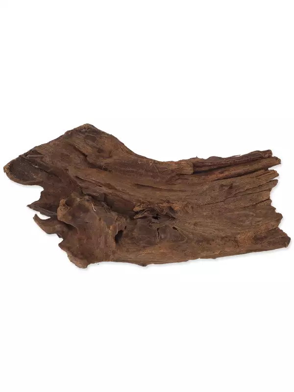 Dekorace Repti Planet Kořen DriftWood Bulk S 24-29cm