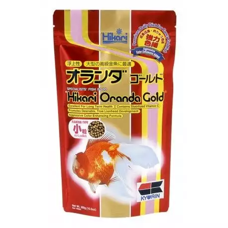 hikari-oranda-gold-mini