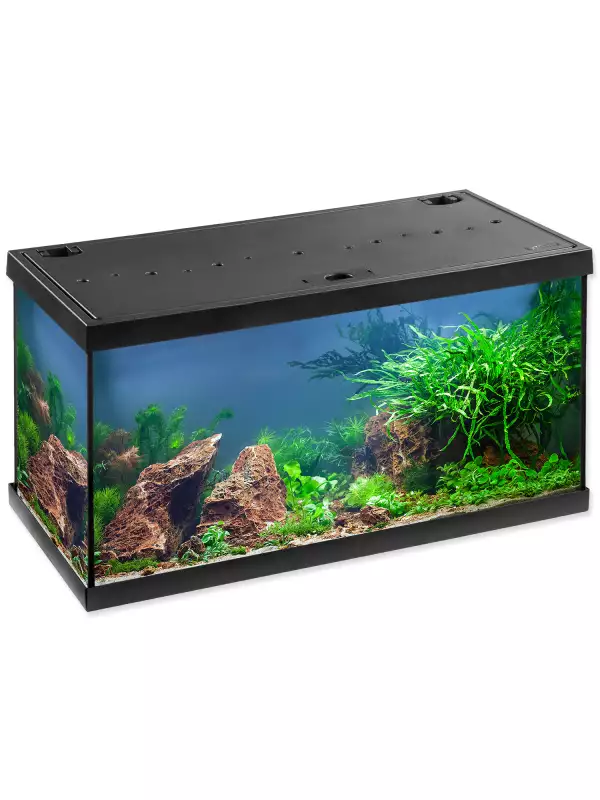 Akvarijní set Eheim Aquastar LED černý 60x33x33 54l