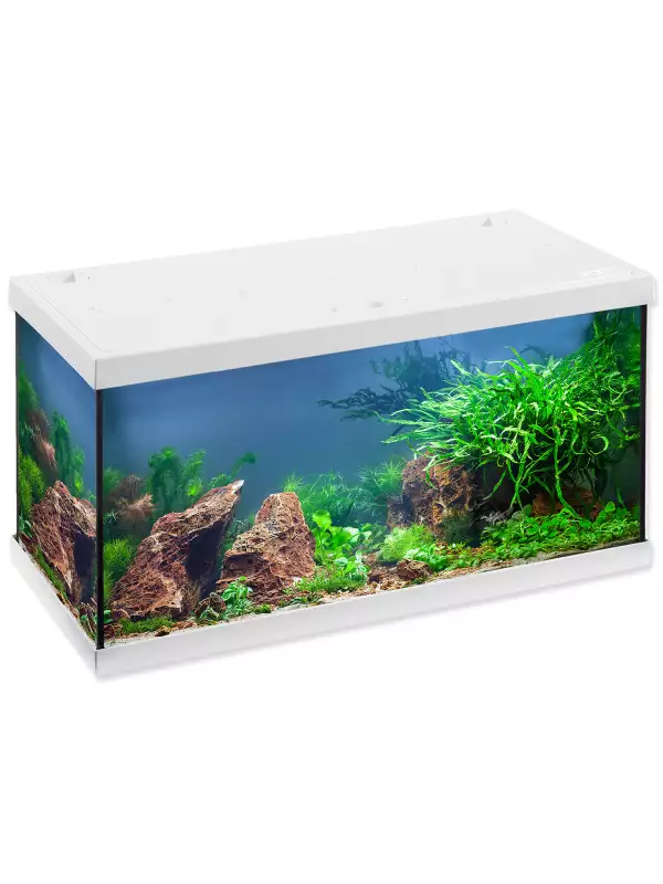 Akvarijní set Eheim Aquastar LED bílý 60x33x33 54l