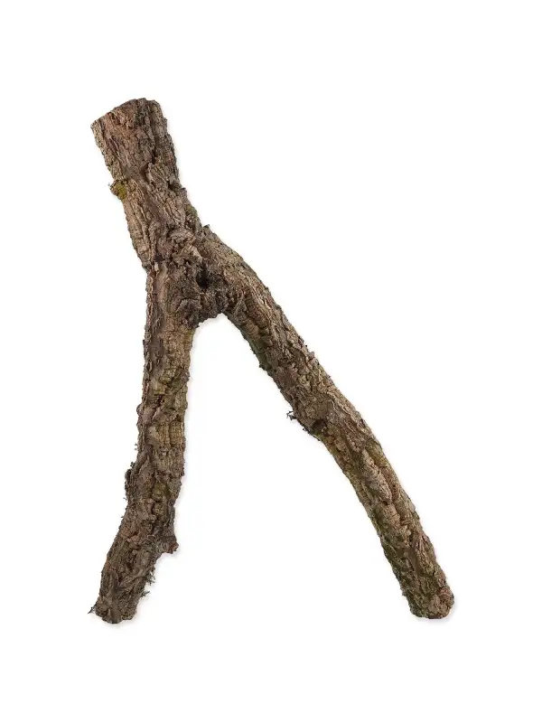 Dekorace Repti Planet Korková větev M 30-60 cm