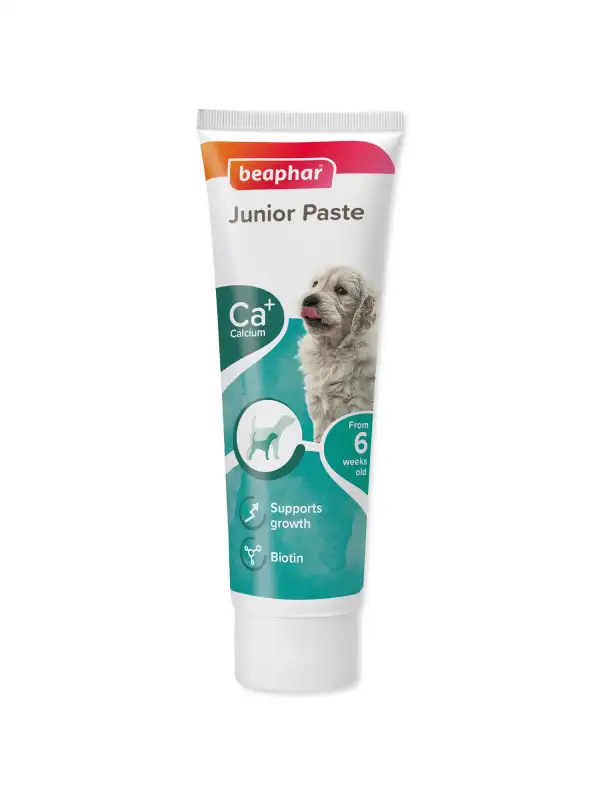 Pasta Beaphar Junior pro štěňata 100g
