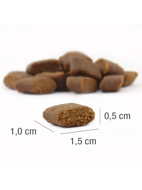 platinum-adult-iberico-kanci2