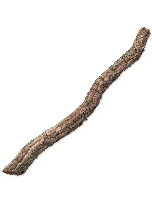 Dekorace Repti Planet Korková větev XL 90cm-120cm