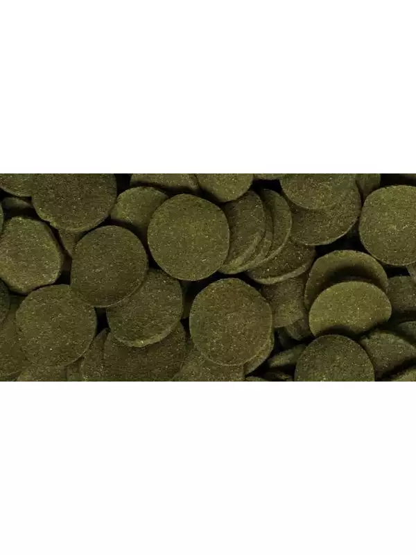 17098-dajana-spirulina-wafers-250-ml-3